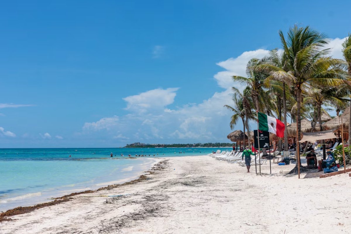 Beach and palm trees in Akumal, Riviera Maya