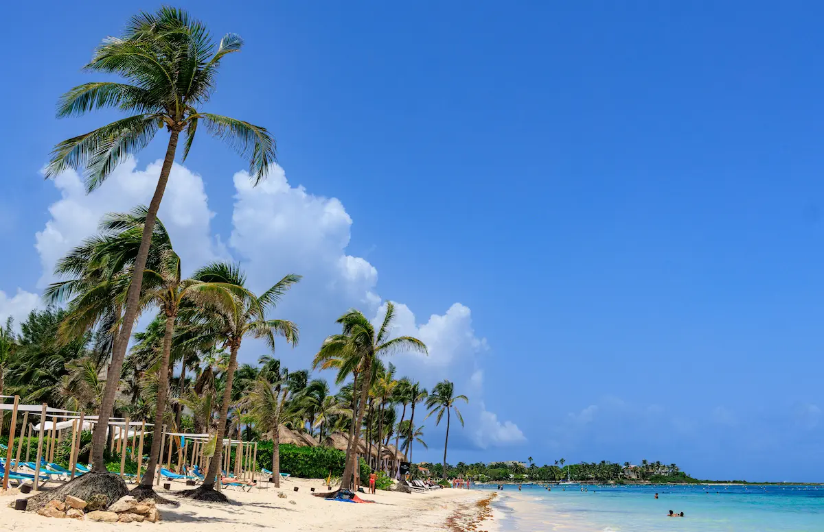 Beach with palm trees and turquoise water in Akumal, Riviera Maya